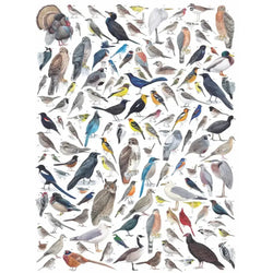 Birds of Western North America 1000 Piece Jigsaw Puzzle NYPC (ONLINE ORDER ONLY)