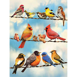 Birds on a Wire 500 Piece Jigsaw Puzzle Cobble Hill (ONLINE ORDER ONLY)