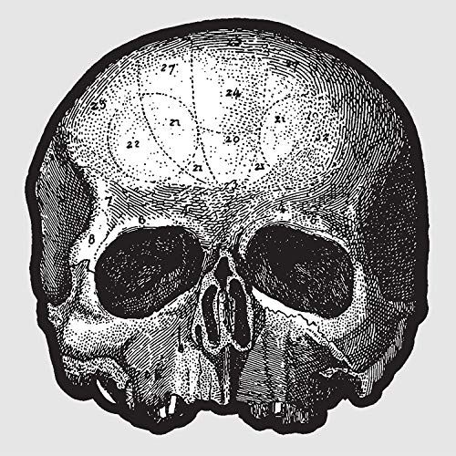 Black Pearl 10” (Die Cut Skull Pic Disc) [Vinyl] (ONLINE ORDER ONLY)