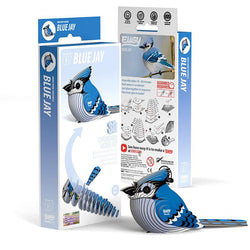 Blue Jay 3D Cardboard Model Kit Eugy (ONLINE ORDER ONLY)