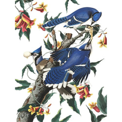 Blue Jays Vintage Collection 500 Piece Jigsaw Puzzle NYPC (ONLINE ORDER ONLY)