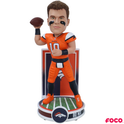 Banner Series Bobbleheads (ONLINE ORDER ONLY)