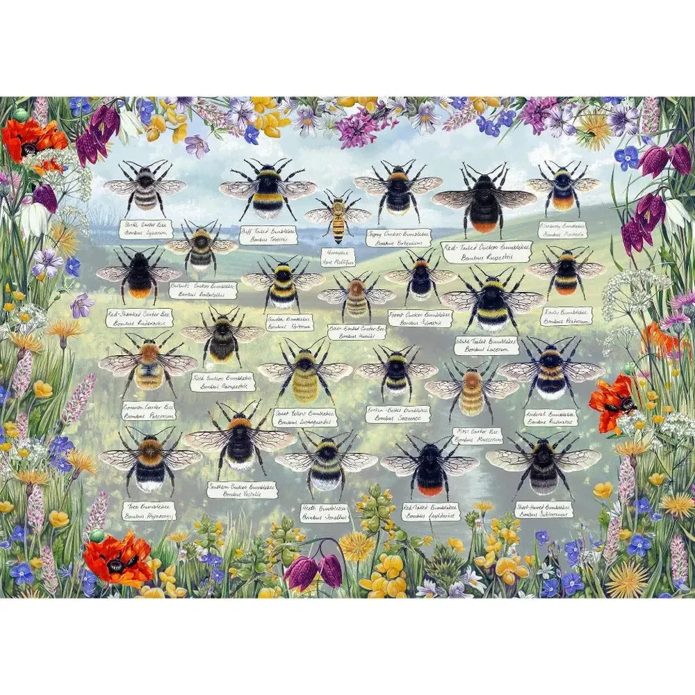 Brilliant Bees 1000 Piece Jigsaw Puzzle Gibsons (ONLINE ORDER ONLY)