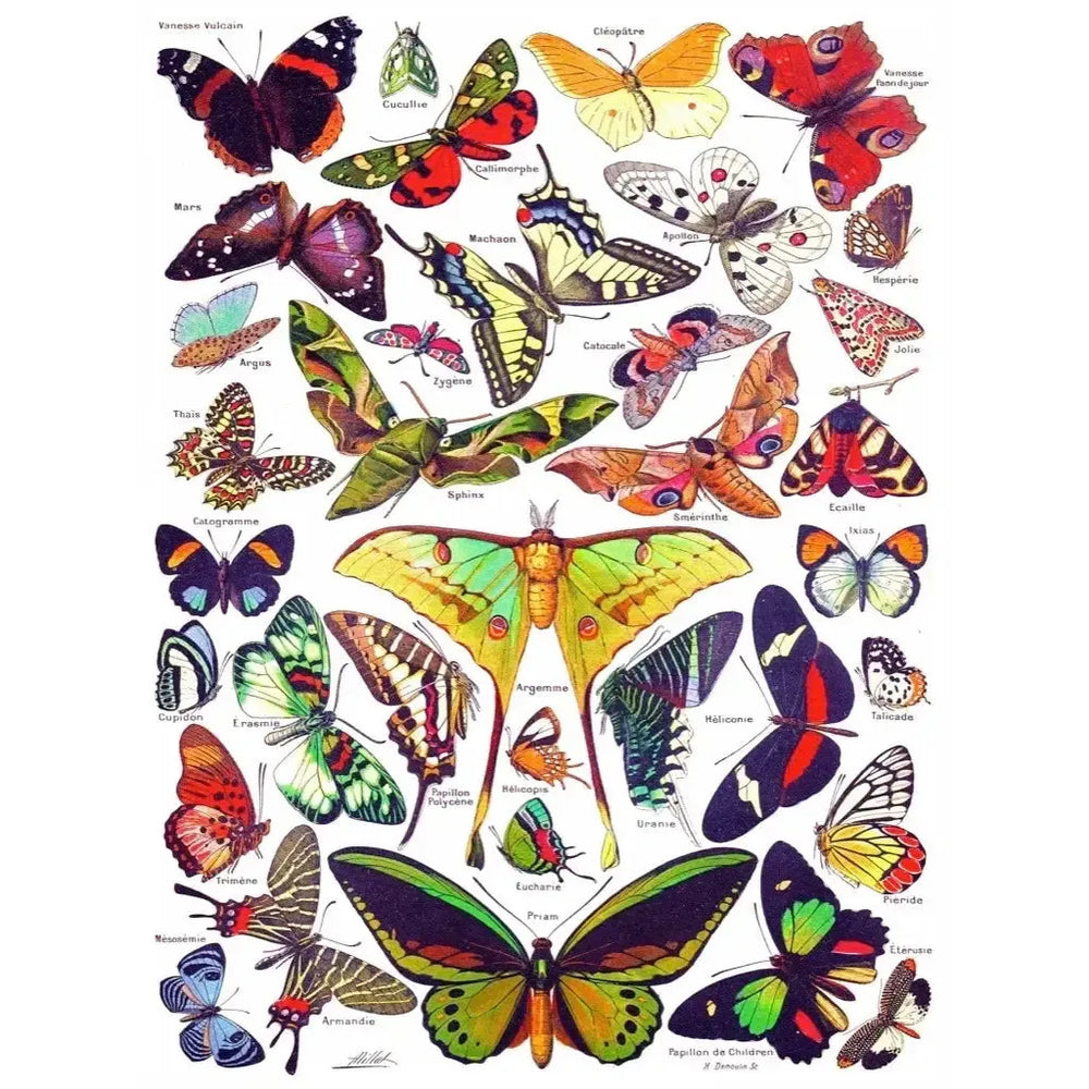 Butterflies ~ Papillons 1000 Piece Jigsaw Puzzle NYPC (ONLINE ORDER ONLY)