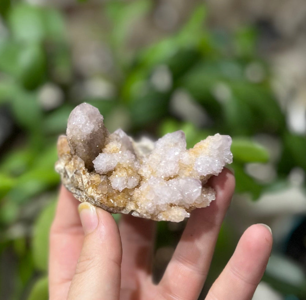 Spirit Quartz Points, Cactus Quartz Clusters, You Choose Size (ONLINE ORDER ONLY)