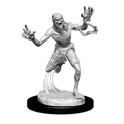 Critical Role: Husk Zombies (ONLINE ORDER ONLY)