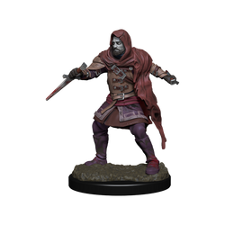 Critical Role: Hollow One Rogue and Sorceror Male (ONLINE ORDER ONLY)