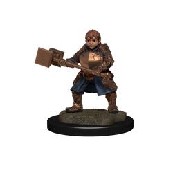 Critical Role: Dwarf Dwendalian Empire Fighter Female (ONLINE ORDER ONLY)