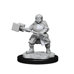 Critical Role: Dwarf Dwendalian Empire Fighter Female (ONLINE ORDER ONLY)