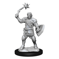 Critical Role: Human Clovis Concord Cleric Male (ONLINE ORDER ONLY)