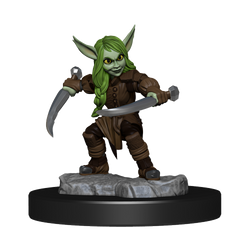 Critical Role: Goblin Sorceror and Rogue Female (ONLINE ORDER ONLY)