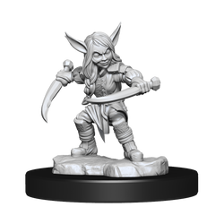 Critical Role: Goblin Sorceror and Rogue Female (ONLINE ORDER ONLY)