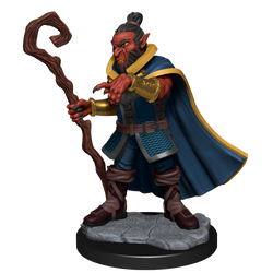 Critical Role: Hobgoblin Wizard and Druid Male (ONLINE ORDER ONLY)