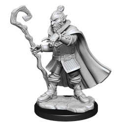Critical Role: Hobgoblin Wizard and Druid Male (ONLINE ORDER ONLY)