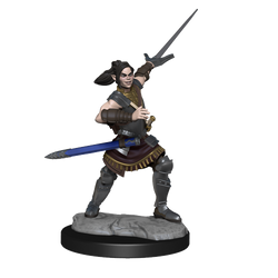 Critical Role: Half-Elf Paladin Xhorhas Female (ONLINE ORDER ONLY)