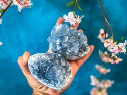Ethically Sourced CELESTITE Clusters 450-800 Grams (ONLINE ORDER ONLY)