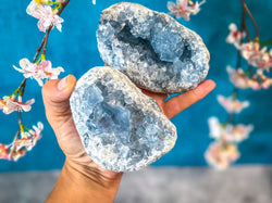 Ethically Sourced CELESTITE Clusters 450-800 Grams (ONLINE ORDER ONLY)