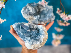 Ethically Sourced CELESTITE Clusters 450-800 Grams (ONLINE ORDER ONLY)