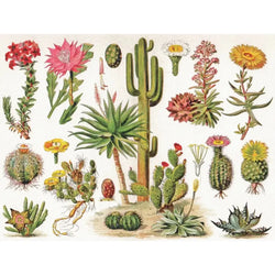 Cacti ~ Cactus 1000 Piece Jigsaw Puzzle NYPC (ONLINE ORDER ONLY)
