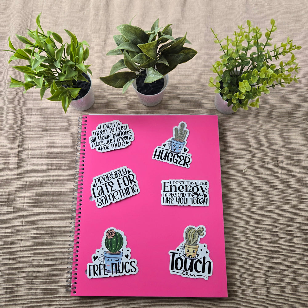 Funny Sarcastic Cactus Stickers (ONLINE ORDER ONLY)