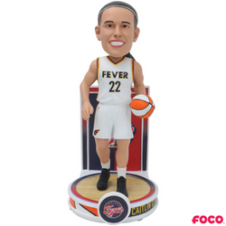 Banner Series Bobbleheads (ONLINE ORDER ONLY)
