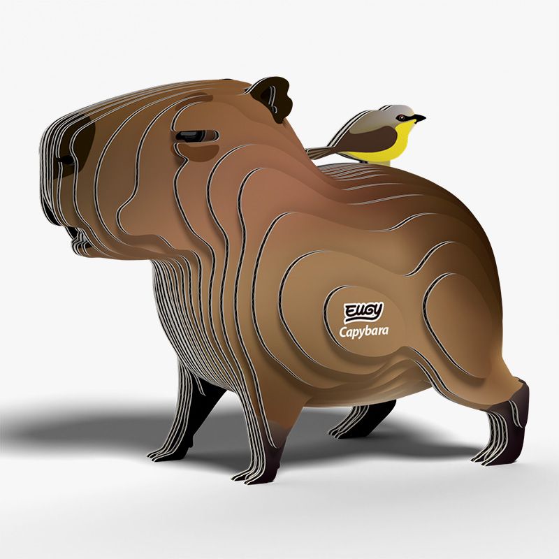 Capybara 3D Cardboard Model Kit Eugy (ONLINE ORDER ONLY)