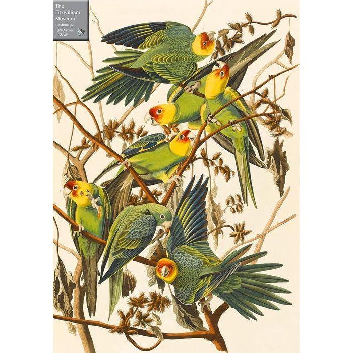 Carolina Parakeets 1000 Piece Jigsaw Puzzle Cambridge (ONLINE ORDER ONLY)