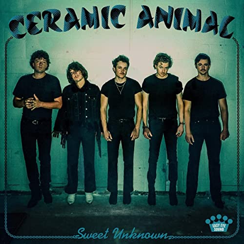 Sweet Unknown [Blue Smoke Translucent LP] [Vinyl] (ONLINE ORDER ONLY)