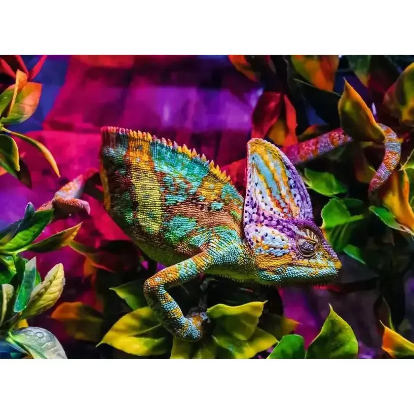 Chameleon 500 Piece Jigsaw Puzzle Ravensburger (ONLINE ORDER ONLY)