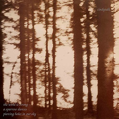 Wind Is Strong [Vinyl] (ONLINE ORDER ONLY)