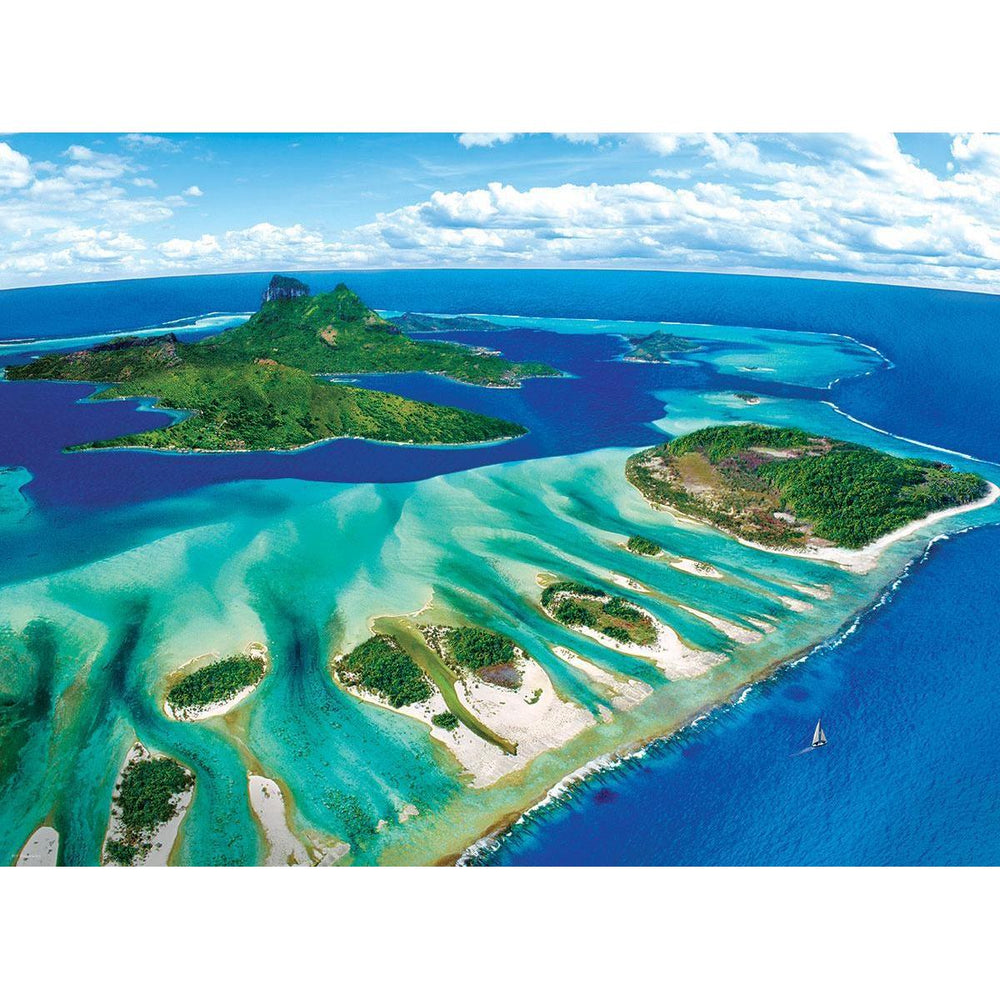 Coral Reef 1000 Piece Jigsaw Puzzle Eurographics (ONLINE ORDER ONLY)