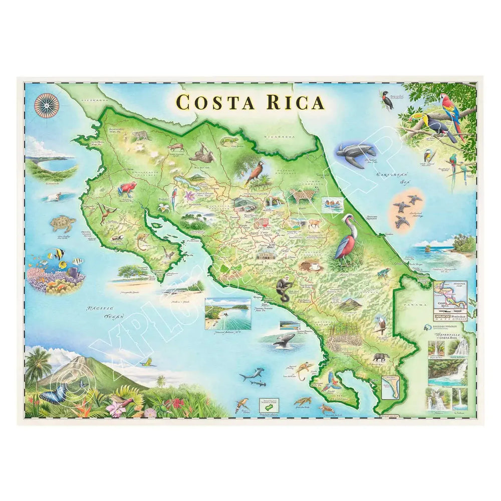 Costa Rica 1000 Piece Jigsaw Puzzle Xplorer Maps (ONLINE ORDER ONLY)
