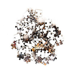 Crazy Cats 100 Piece Pocket Jigsaw Puzzle Gift Republic (ONLINE ORDER ONLY)