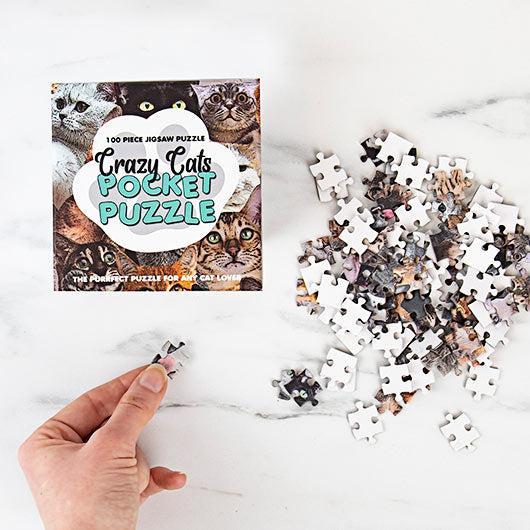 Crazy Cats 100 Piece Pocket Jigsaw Puzzle Gift Republic (ONLINE ORDER ONLY)