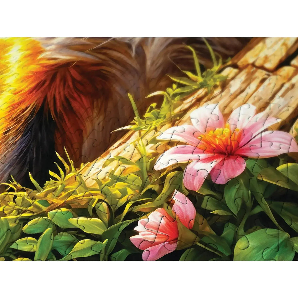 Curious Fox 1000 Piece Jigsaw Puzzle Enjoy (ONLINE ORDER ONLY)