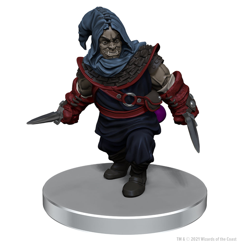 D&D: Icons of the Realms - The Wild Beyond the Witchlight - League of Malevolence Starter Set (ONLINE ORDER ONLY)