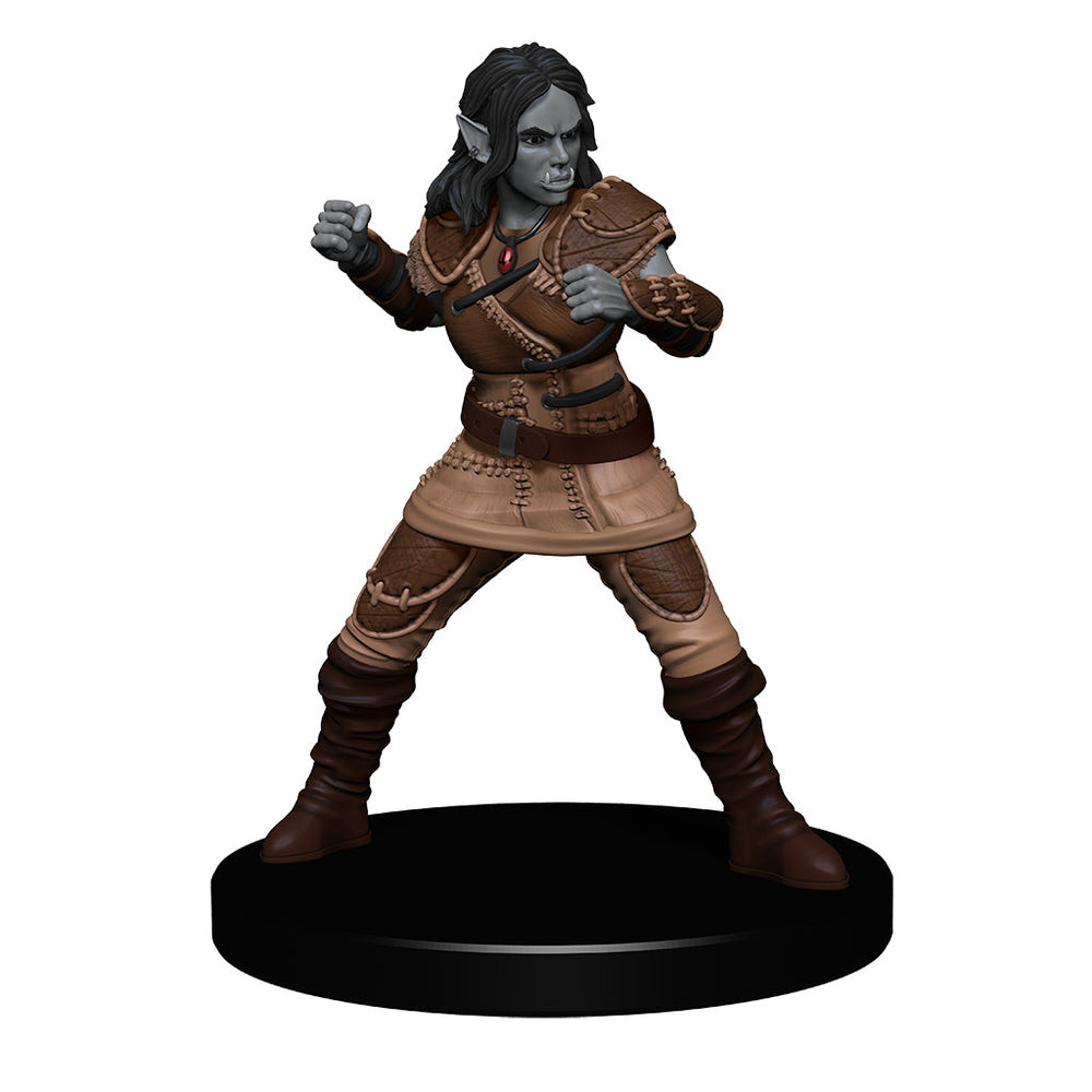 D&D: Icons of the Realms - The Yawning Portal Inn - Friendly Faces Pack (ONLINE ORDER ONLY)