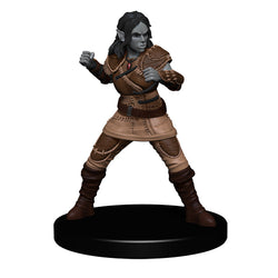 D&D: Icons of the Realms - The Yawning Portal Inn - Friendly Faces Pack (ONLINE ORDER ONLY)