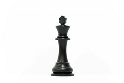 The Gift of Chess - 2 Lightweight Chess Sets  (Online Order Only)