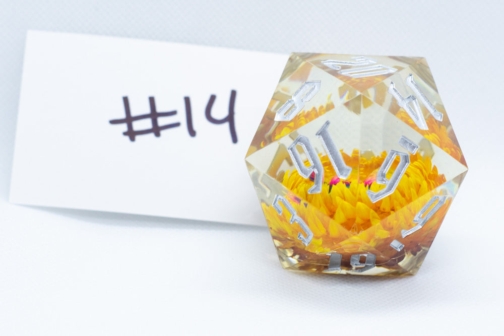 Marigold 55mm D20 44 Unique Options (See description) (Online Only)
