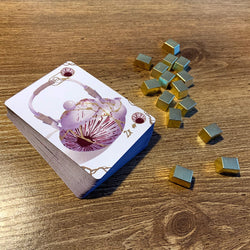 Broken and Beautiful Deluxe Edition