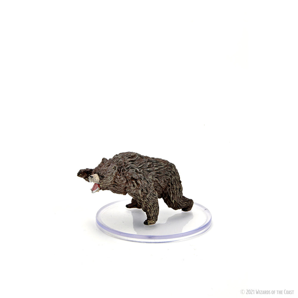 D&D: Icons of the Realms - Wild Shape & Polymorph (Set 2) (ONLINE ORDER ONLY)