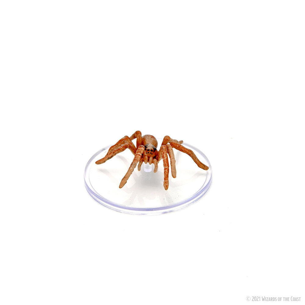 D&D: Icons of the Realms - Wild Shape & Polymorph (Set 2) (ONLINE ORDER ONLY)