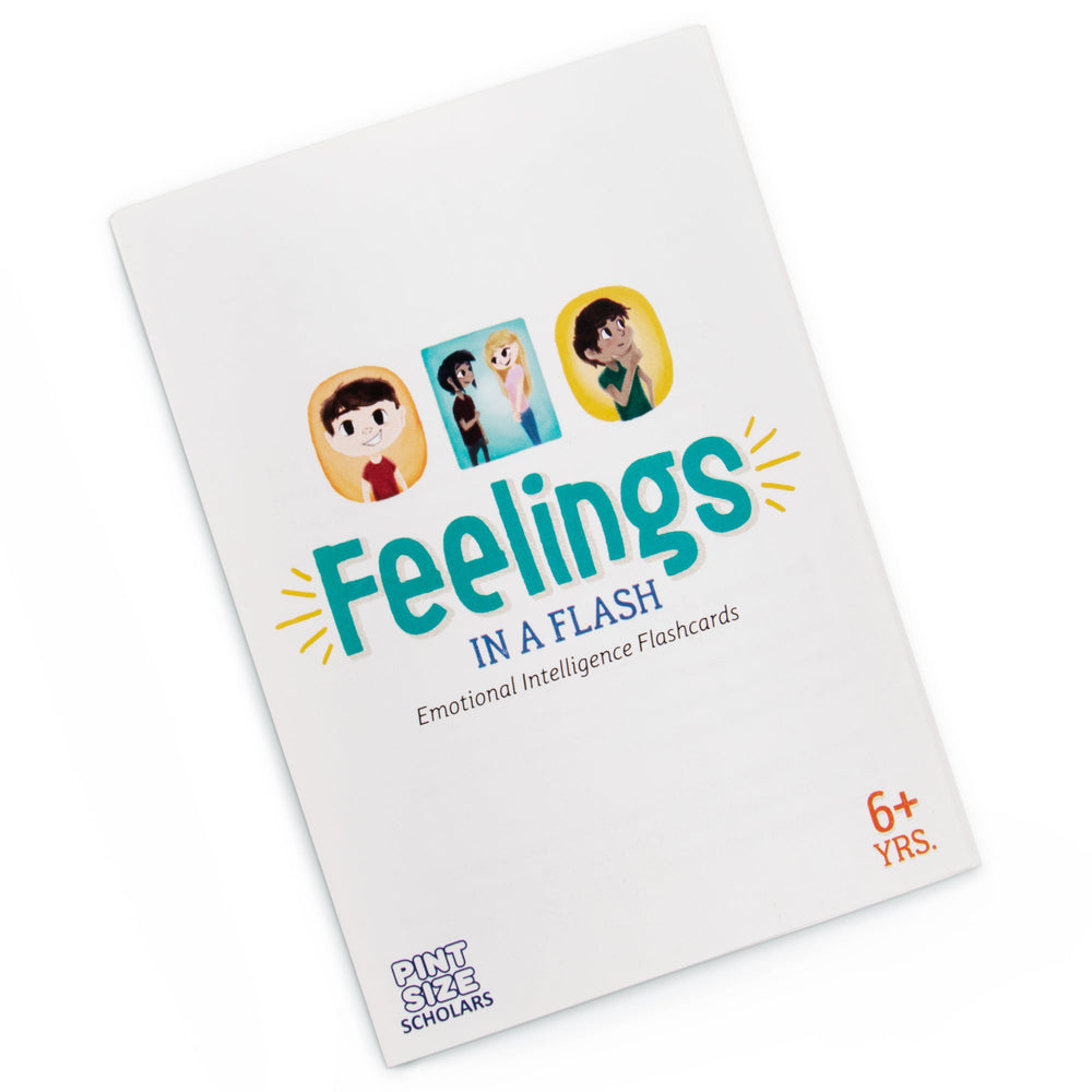 Feelings in a Flash (ONLINE ORDER ONLY)