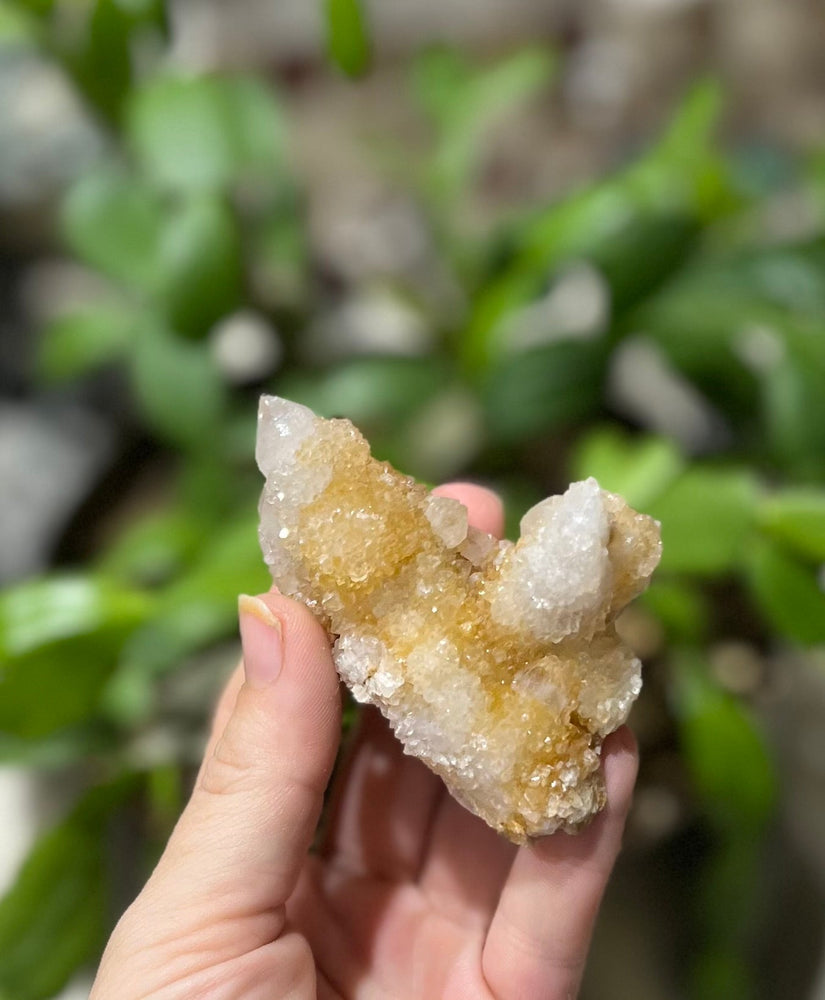 Spirit Quartz Points, Cactus Quartz Clusters, You Choose Size (ONLINE ORDER ONLY)