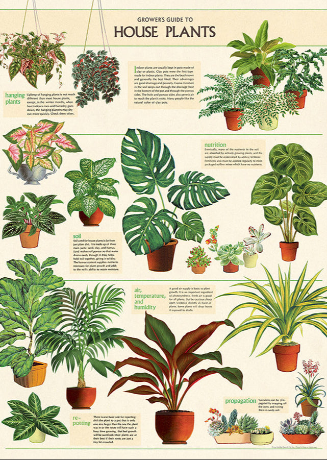 House Plants Scientific Chart (ONLINE ORDER ONLY)