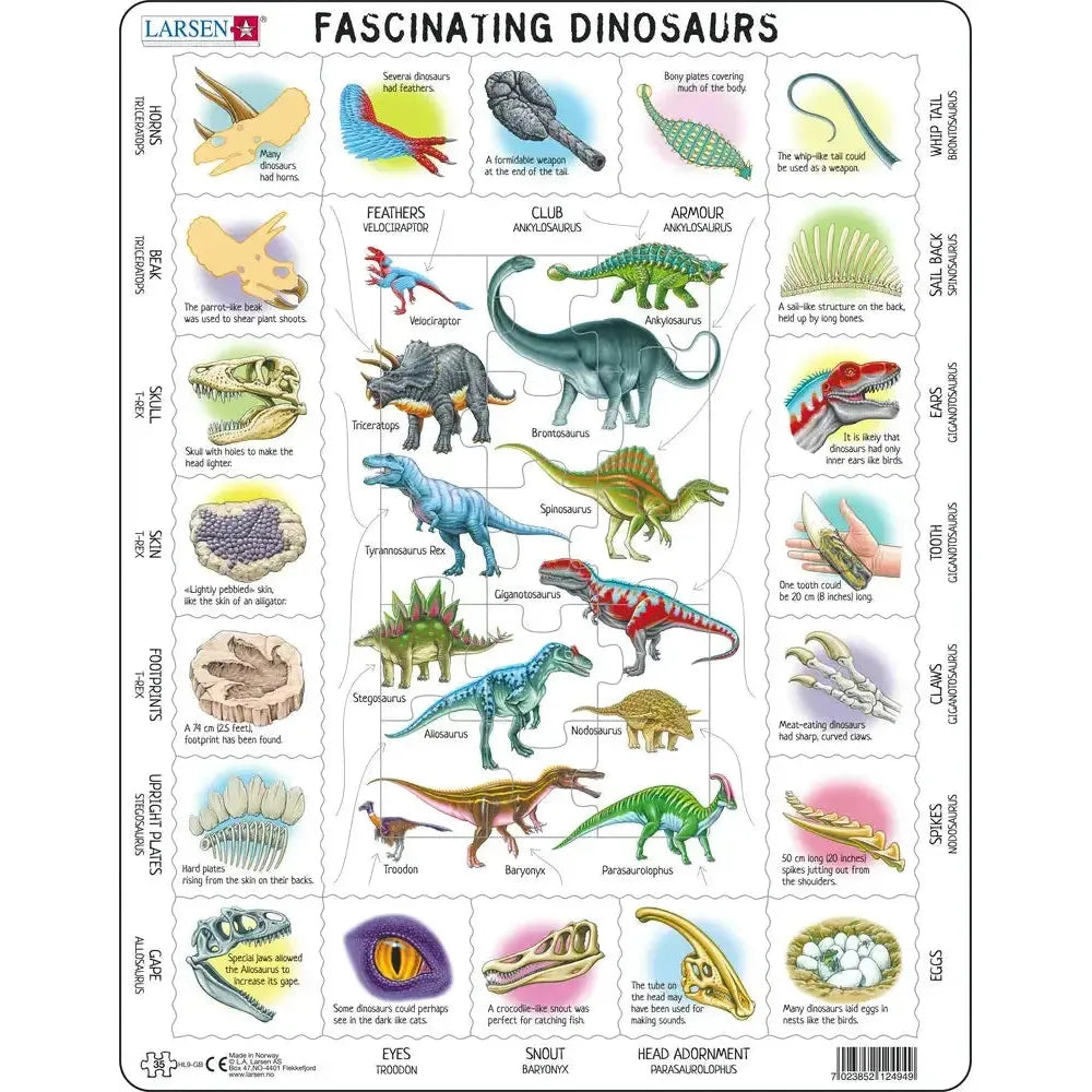 Fascinating Dinosaurs 35 Piece Tray Jigsaw Puzzle Larsen (ONLINE ORDER ONLY)