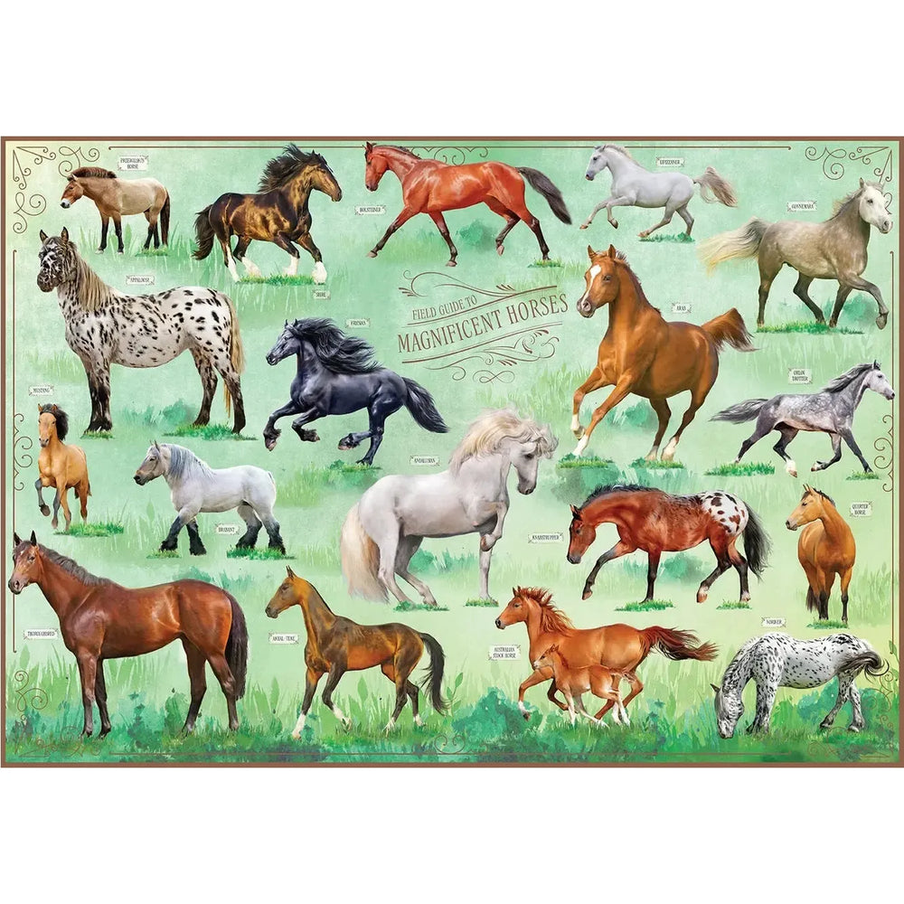 Field Guide To Magnificent Horses 500 Piece Jigsaw Puzzle Insights (ONLINE ORDER ONLY)
