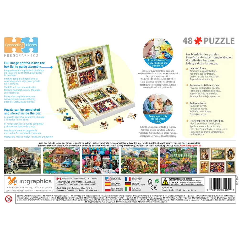 Fine Art Gallery Wall 48 Connecting Pieces Jigsaw Puzzle Eurographics (ONLINE ORDER ONLY)