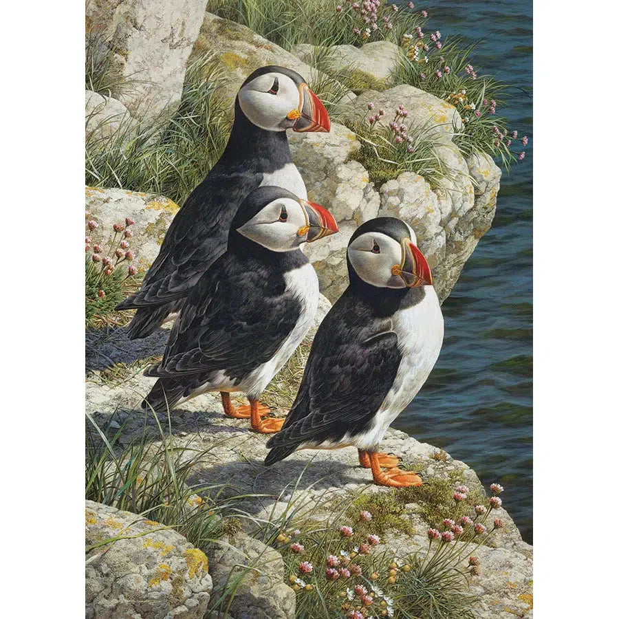 Fisherman's Wharf 500 Piece Jigsaw Puzzle Cobble Hill (ONLINE ORDER ONLY)